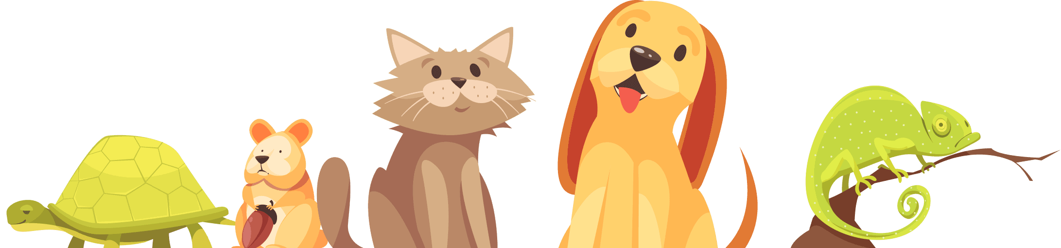 Banner Animals
