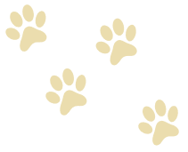 Lower Right Paw Path
