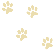 Upper Left Paw Path